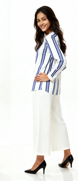Formal Regular Sleeves Striped Women White, Blue Top